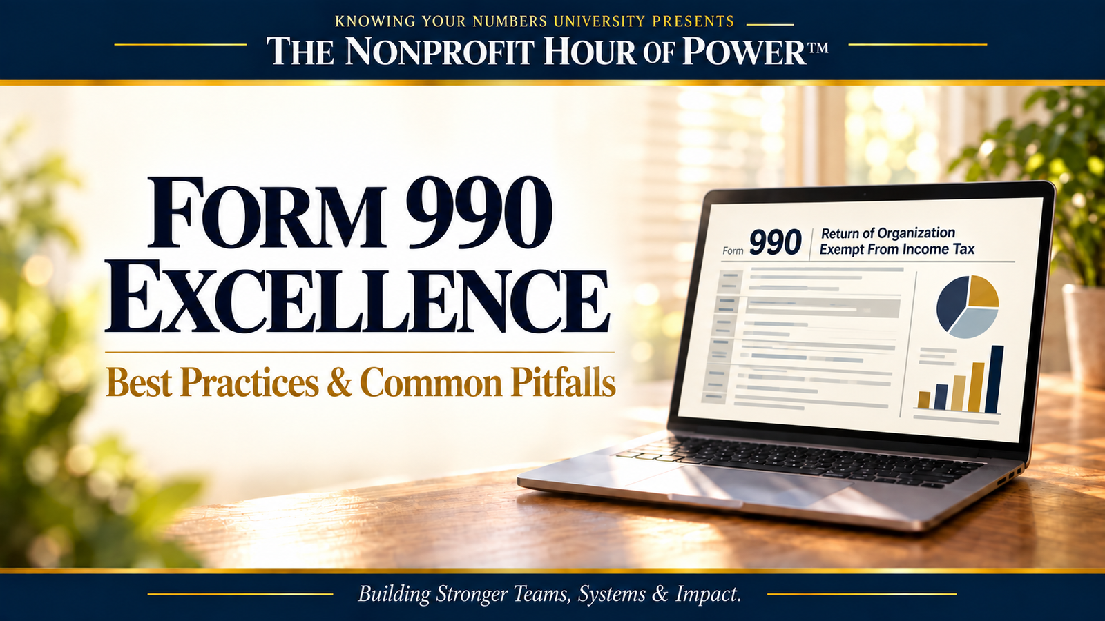 Form 990 Excellence training graphic